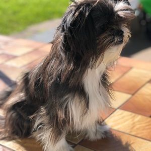 Meet your Posher, Anne